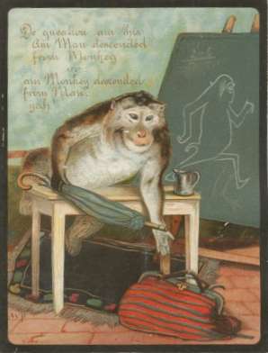 Monkey w/ umbrella - "De question am this..."