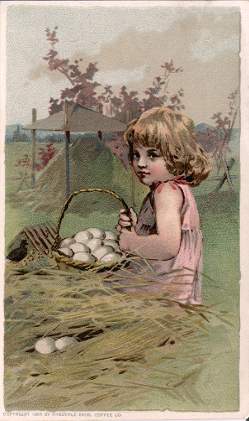 Eggs