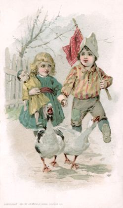 Geese