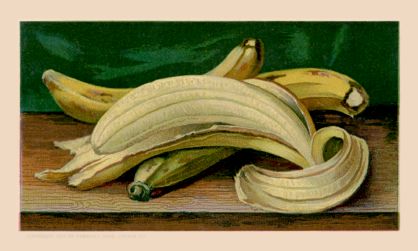 Bananas