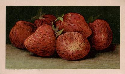 Strawberries