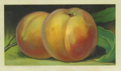 Peaches