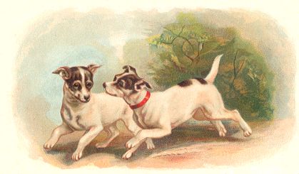 Arbuckle - Dogs