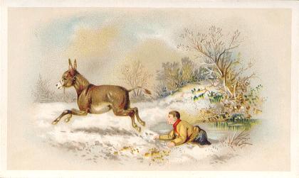 Arbuckle - victorious donkey escapes