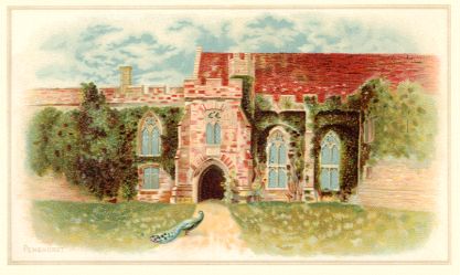 Arbuckle - Penshurst