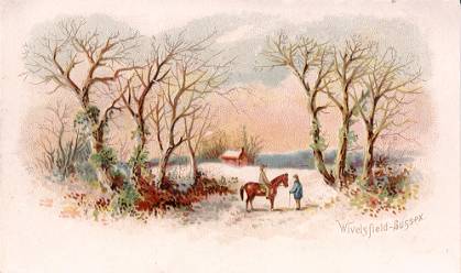 Arbuckle - Wivelsfield, Sussex