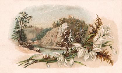 Arbuckle - white flowers, river, church