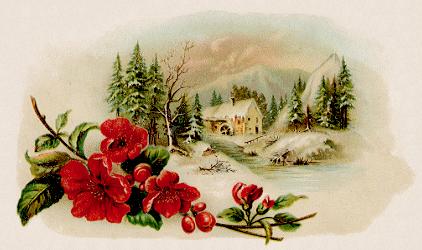Arbuckle - red flowers, old mill