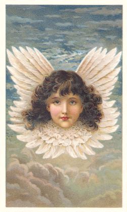 Arbuckle - Rebecca Coleman - Angel Head