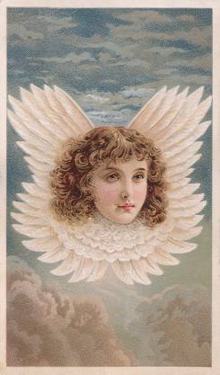 Arbuckle - Rebecca Coleman - Angel Head