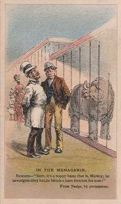 Arbuckle - In The Menagerie