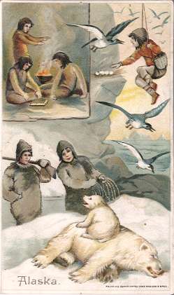 Alaska / Greenland - dominoes, egg gathering, polar bear hunting