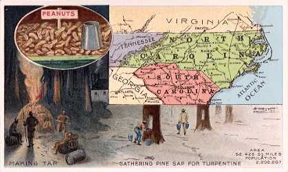 Peanuts; Making Tar; Gathering Pine Sap For Turpentine