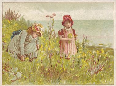 Arbuckle - girls picking wildflowers