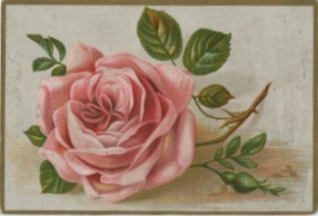 Vesta Laundry Soap card