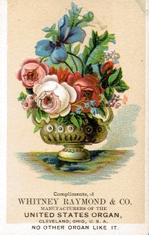 Whitney Raymond & Co. - trade card
