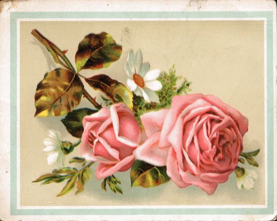 LION COFFEE trade card