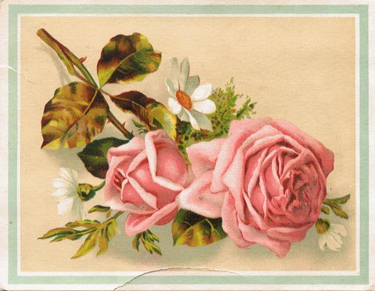 STIMSON'S SUDSENA trade card